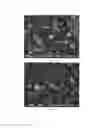 Fig. 03 - Individualised inorganic particles