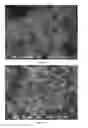 Fig. 05 - Individualised inorganic particles