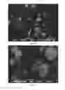 Fig. 07 - Individualised inorganic particles