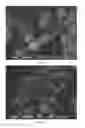 Fig. 08 - Individualised inorganic particles