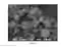 Fig. 09 - Individualised inorganic particles