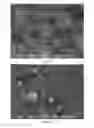 Fig. 11 - Individualised inorganic particles