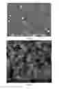 Fig. 14 - Individualised inorganic particles