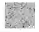 Fig. 03 - Corrosion resistant coating composition of Ni and a phosphate corrosion inhibitor and an electrodeposition method for the manufacture thereof
