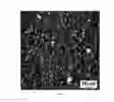 Fig. 04 - Corrosion resistant coating composition of Ni and a phosphate corrosion inhibitor and an electrodeposition method for the manufacture thereof