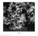 Fig. 06 - Corrosion resistant coating composition of Ni and a phosphate corrosion inhibitor and an electrodeposition method for the manufacture thereof