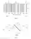 Fig. 02 - Systems and methods for analyzing the characteristics and compositions of cement additives