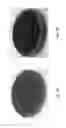 Fig. 06 - Removal of barite weighted mud