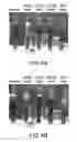 Fig. 04 - Hydraulic fracturing using super absorbent polymer having controlled particle size