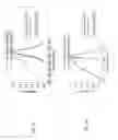 Fig. 04 - Ternary metal halide scintillators