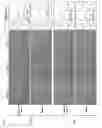 Fig. 09 - CELL CULTURE SUBSTRATE