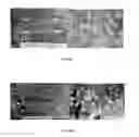 Fig. 07 - METHODS OF DEVELOPING PLANT SOMATIC EMBRYOS