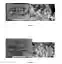 Fig. 08 - METHODS OF DEVELOPING PLANT SOMATIC EMBRYOS