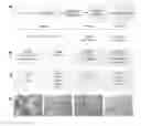 Fig. 01 - SYSTEMS AND METHODS FOR STEM CELL DIFFERENTIATION