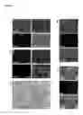 Fig. 09 - SYSTEMS AND METHODS FOR STEM CELL DIFFERENTIATION