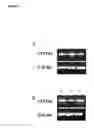 Fig. 10 - SYSTEMS AND METHODS FOR STEM CELL DIFFERENTIATION