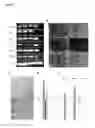 Fig. 11 - SYSTEMS AND METHODS FOR STEM CELL DIFFERENTIATION
