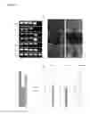 Fig. 13 - SYSTEMS AND METHODS FOR STEM CELL DIFFERENTIATION