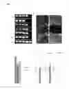 Fig. 14 - SYSTEMS AND METHODS FOR STEM CELL DIFFERENTIATION