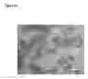 Fig. 16 - SYSTEMS AND METHODS FOR STEM CELL DIFFERENTIATION