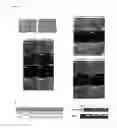 Fig. 20 - SYSTEMS AND METHODS FOR STEM CELL DIFFERENTIATION