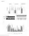 Fig. 28 - SYSTEMS AND METHODS FOR STEM CELL DIFFERENTIATION