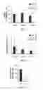 Fig. 26 - IDENTIFICATION AND ISOLATION OF NEURAL STEM CELLS AND NEUROSPHERE INITIATING CELLS