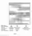 Fig. 29 - IDENTIFICATION AND ISOLATION OF NEURAL STEM CELLS AND NEUROSPHERE INITIATING CELLS