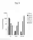 Fig. 06 - Method for preparation of retinal ganglion cells