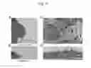 Fig. 12 - Method for preparation of retinal ganglion cells