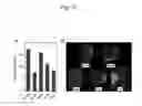 Fig. 13 - Method for preparation of retinal ganglion cells