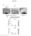 Fig. 20 - Method for preparation of retinal ganglion cells
