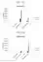 Fig. 17 - Method for culturing mesenchymal stem cells