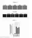 Fig. 04 - METHOD AND CONTAINER FOR CULTURING UNDIFFERENTIATED INDUCED PLURIPOTENT STEM CELL