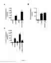 Fig. 07 - Vaccine for immunocompromised hosts