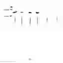 Fig. 15 - Vaccine for immunocompromised hosts
