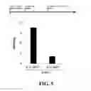 Fig. 04 - MATERIALS AND METHODS FOR TREATING DISORDERS ASSOCIATED WITH SULFATASE ENZYMES