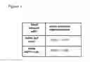 Fig. 02 - Telomerase reverse transcriptase-based therapies for treatment of conditions associated with myocardial infarction