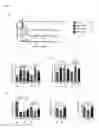 Fig. 03 - Telomerase reverse transcriptase-based therapies for treatment of conditions associated with myocardial infarction
