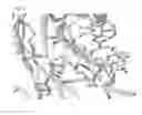 Fig. 14 - Carbohydrate-binding protein
