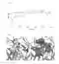Fig. 16 - Carbohydrate-binding protein