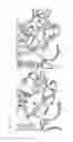 Fig. 34 - Carbohydrate-binding protein