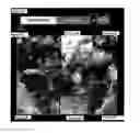 Fig. 03 - PERFORIN 2 DEFENSE AGAINST INVASIVE AND MULTIDRUG RESISTANT PATHOGENS
