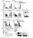 Fig. 04 - PERFORIN 2 DEFENSE AGAINST INVASIVE AND MULTIDRUG RESISTANT PATHOGENS