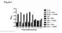Fig. 07 - PERFORIN 2 DEFENSE AGAINST INVASIVE AND MULTIDRUG RESISTANT PATHOGENS