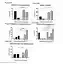 Fig. 11 - PERFORIN 2 DEFENSE AGAINST INVASIVE AND MULTIDRUG RESISTANT PATHOGENS