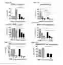Fig. 12 - PERFORIN 2 DEFENSE AGAINST INVASIVE AND MULTIDRUG RESISTANT PATHOGENS