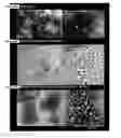 Fig. 31 - PERFORIN 2 DEFENSE AGAINST INVASIVE AND MULTIDRUG RESISTANT PATHOGENS