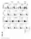 Fig. 06 - Targeting the steroidogenic pathway for treating and/or preventing allergic diseases