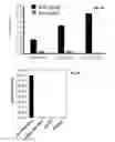 Fig. 05 - Methods and compositions for assessing viral nuclear localization